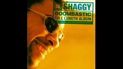 Shaggy - Mr Bombastic