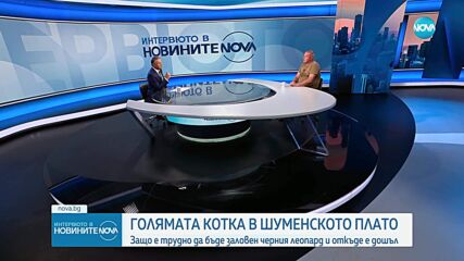 Черната пантера в Шуменско