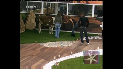 ! Началото на Кравешкото Шоу В Big Brother 4, 18 Ноември 2008 - 5 !