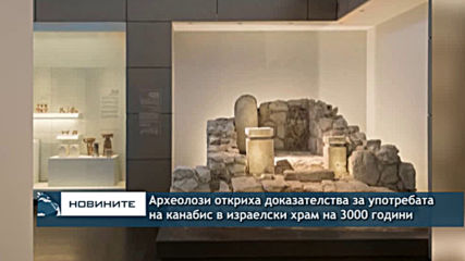 Археолози откриха доказателства за употребата на канабис в древен израелски храм