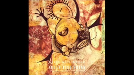 Nurse With Wound - Cooloorta Moon 