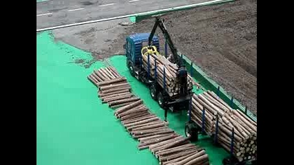 sinsheim model fair log loader 