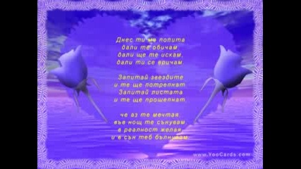 Любовта на Слънцето и Цветето