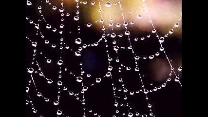Crystal Tears