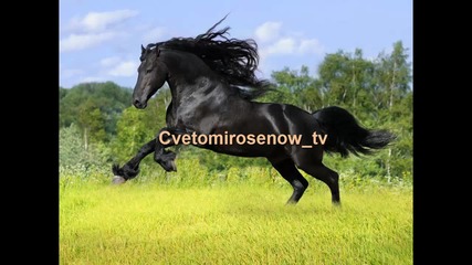 Почвам от 17 септември с авторски клипове.