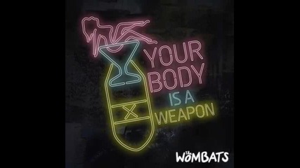 *2013* The Wombats - Your body is a weapon ( R3hab remix )
