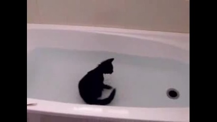 коте си взима топла вана :)