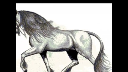 Unicorns : Eluveitie - Anagantios 