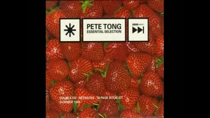 Pete Tong Essential Selection Summer 1998 cd2