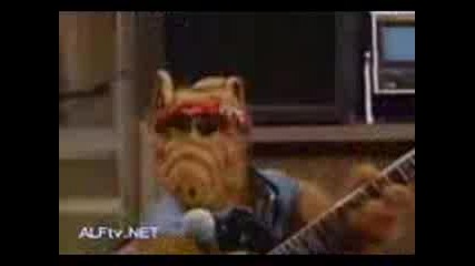 Alf Pee 2