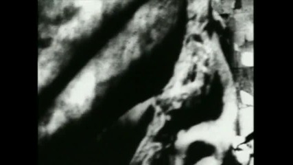 Marilyn Manson - Cryptorchid