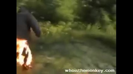Инциденти Със Закръглени Хора