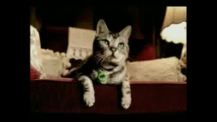 Реклама - Гол Котката Танцува