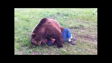 Голямо приятелство между мечка и човек