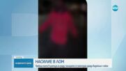 След клип в социалните мрежи: Разследват побой над младеж в центъра на Лом