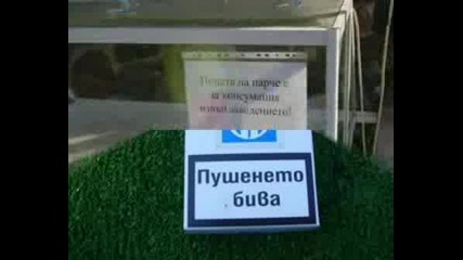 Хумор