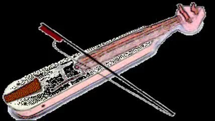 Pontiaka ela 
