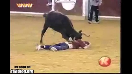 Bull Win 