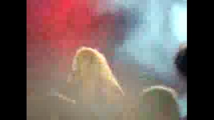 Twisted Sister - Lovech