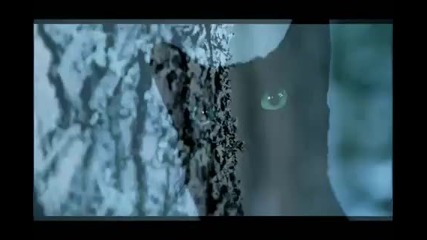 Christina Aguilera - Birds of Prey { Unofficial Video }