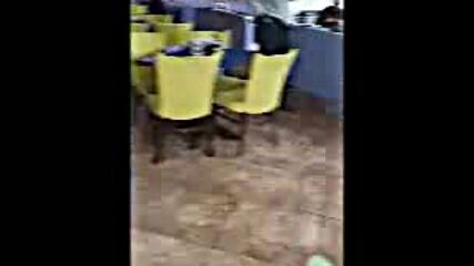 ани подарък .wmv