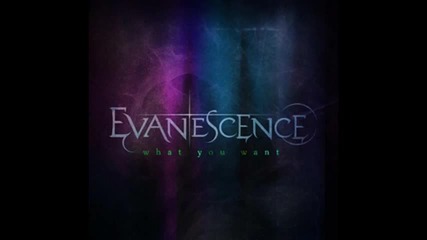 Evanescence - What you Want New Single 2011 full Hd