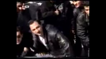 Най - големите арменски кото6и!