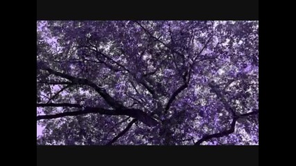 Richard Ashcroft - A Song For The Lovers