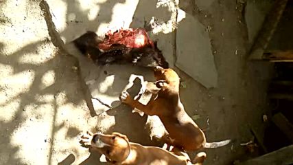 Vid_20180915_142824
