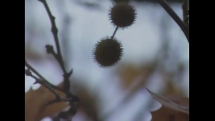 Mile Kitic i Juzni Vetar - Hiljadu kisa u meni pada (official Video)