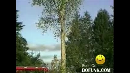 Да се пръснеш от смях (супер диво)