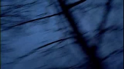  Loreena Mckennitt - The Two Trees 