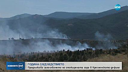 Година след големия пожар край Кресна продължава залесяването на района