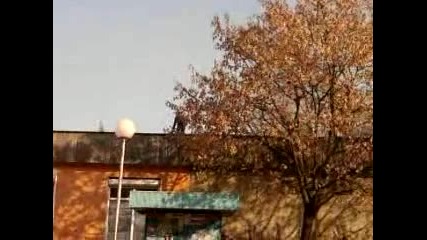 мои фр скача от железариа на бутка