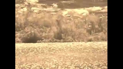 Sell System - Silence of the double faces 