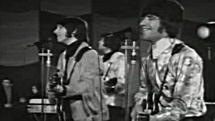 The Tremeloes - Here Comes My Baby 1967