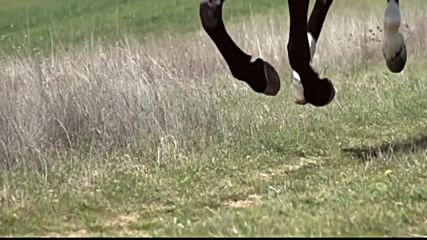 Lozano - Zena kako ti