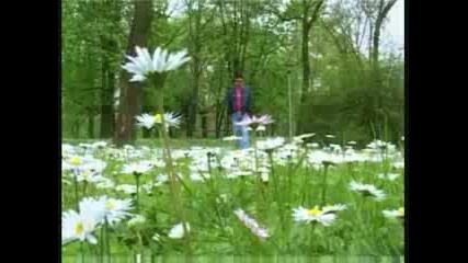 Saban Nezirovski - Posljedne vece