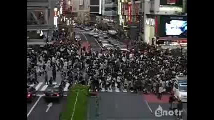 Лудница на пешеходна пътека в Япония