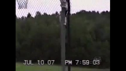 котешки ден