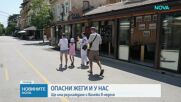 На прага на нови температурни рекорди - топлата вълна у нас продължава