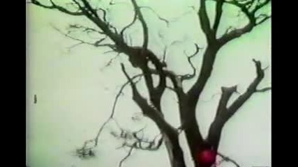 Beatles - Strawberry Fields Forever (rare in color)