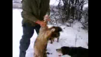Mov00412