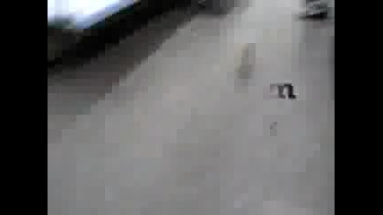 Мишка Във Влак (смях)