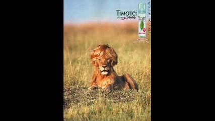 Смешни Снимки 