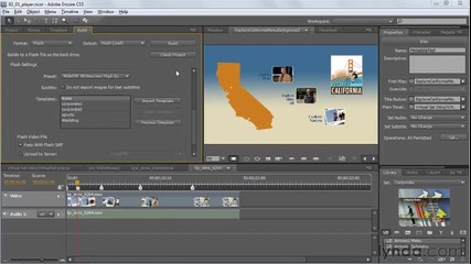 Adobe Encore Cs5 Explaining the new Flash Dvd player