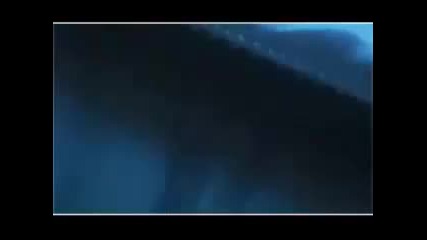 bleach amv 
