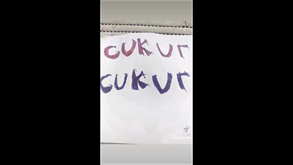 Vid_150610907_113342_194.mp4