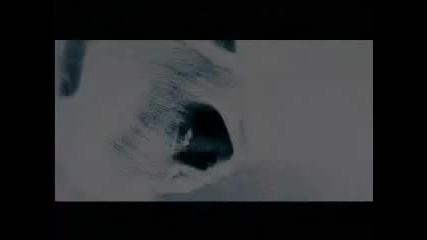 The Dollmaster Trailer 