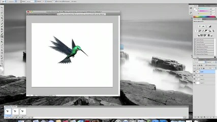 Adobe Photoshop Cs5 - Анимирана птичка 